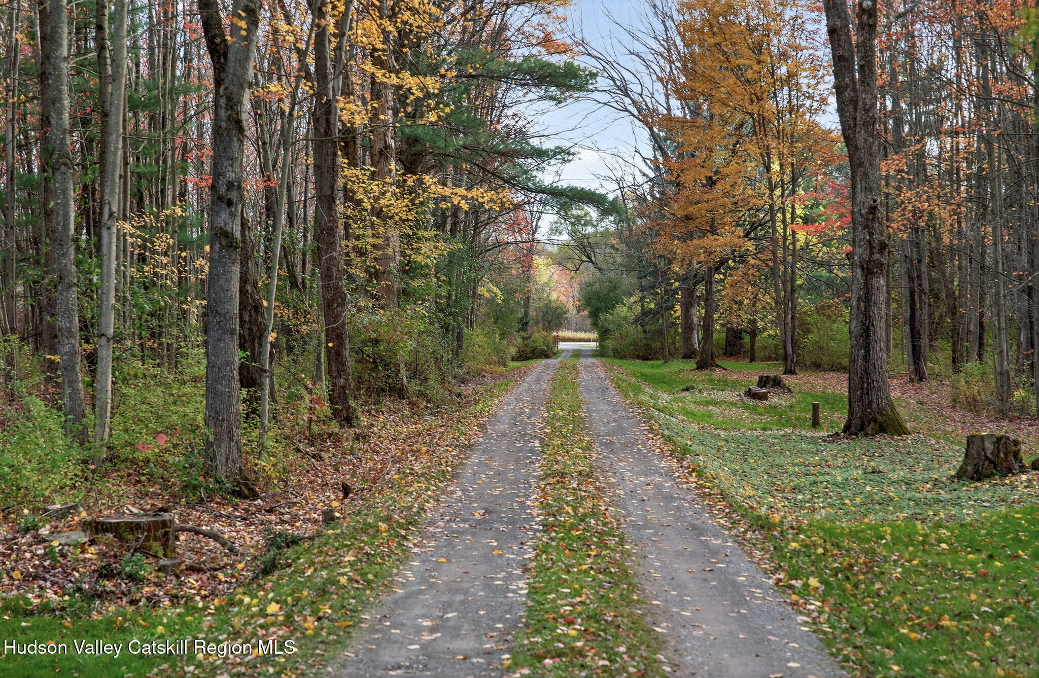 13388 Duanesburg Road