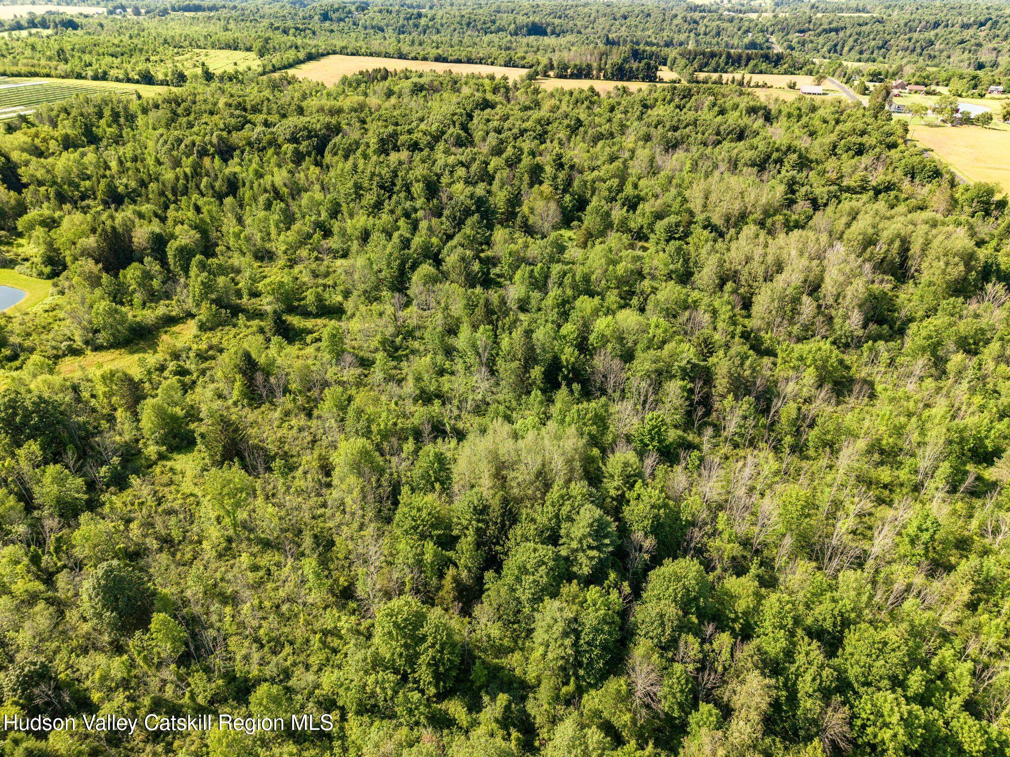 13388 Duanesburg Road