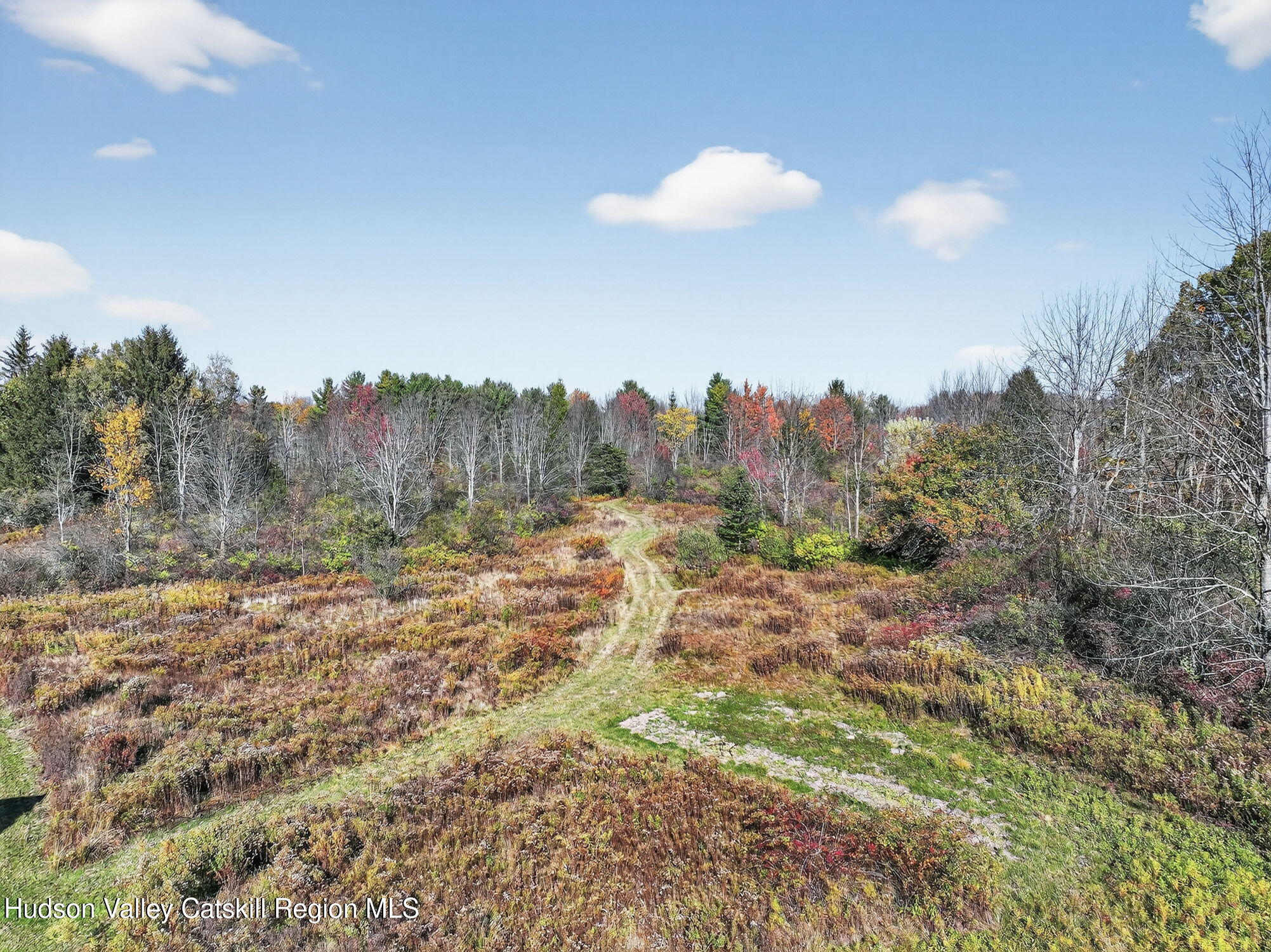 13388 Duanesburg Road