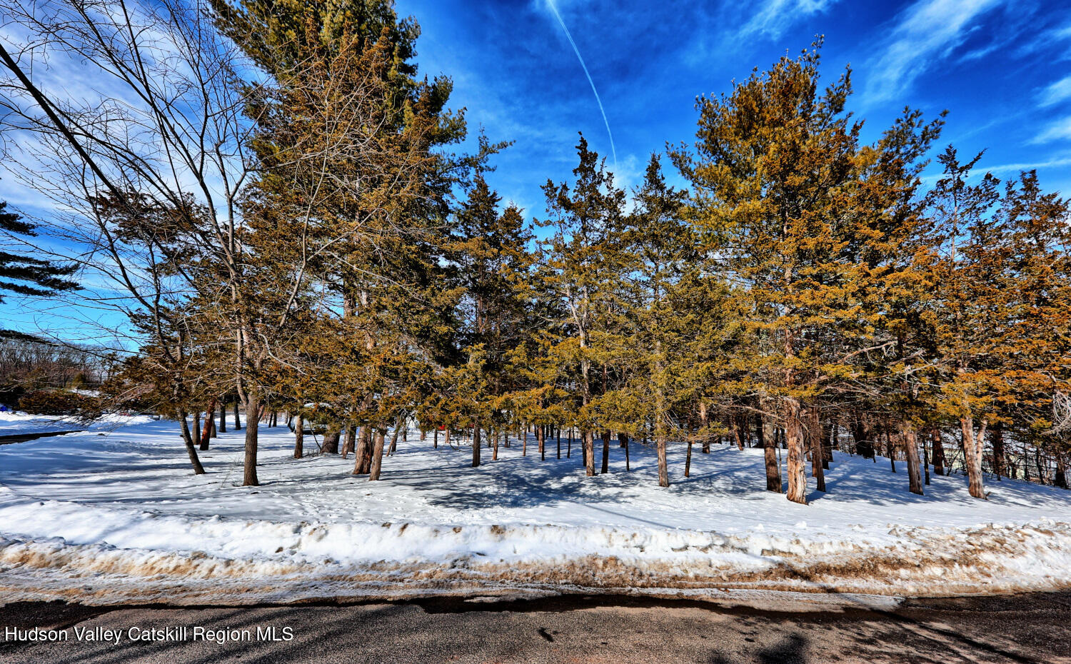 98 S Lincoln Drive