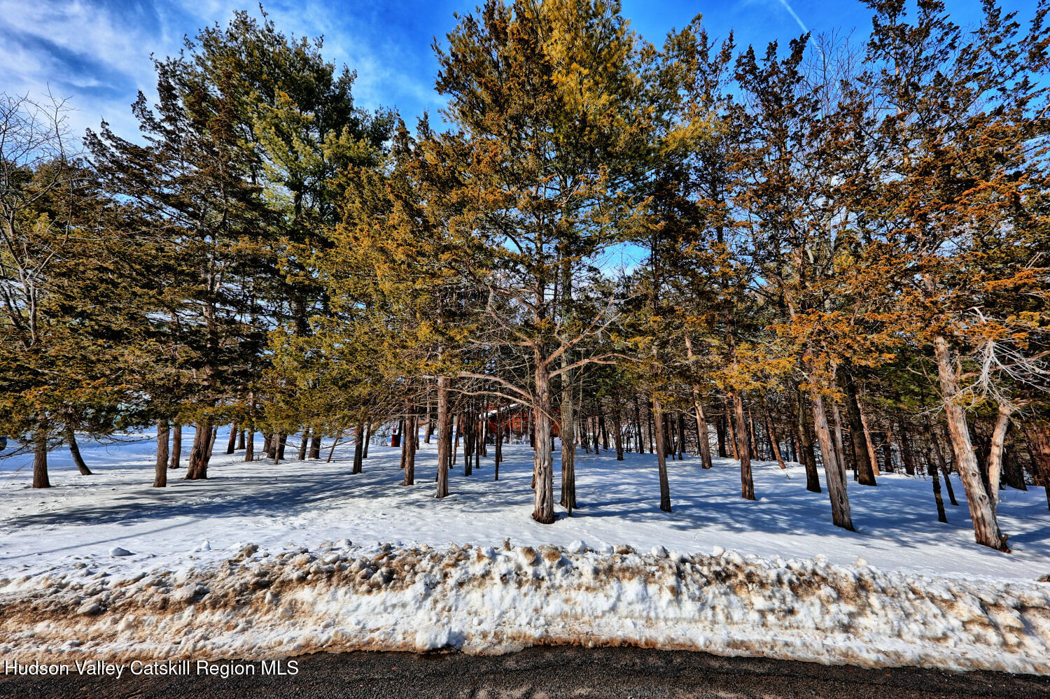 98 S Lincoln Drive