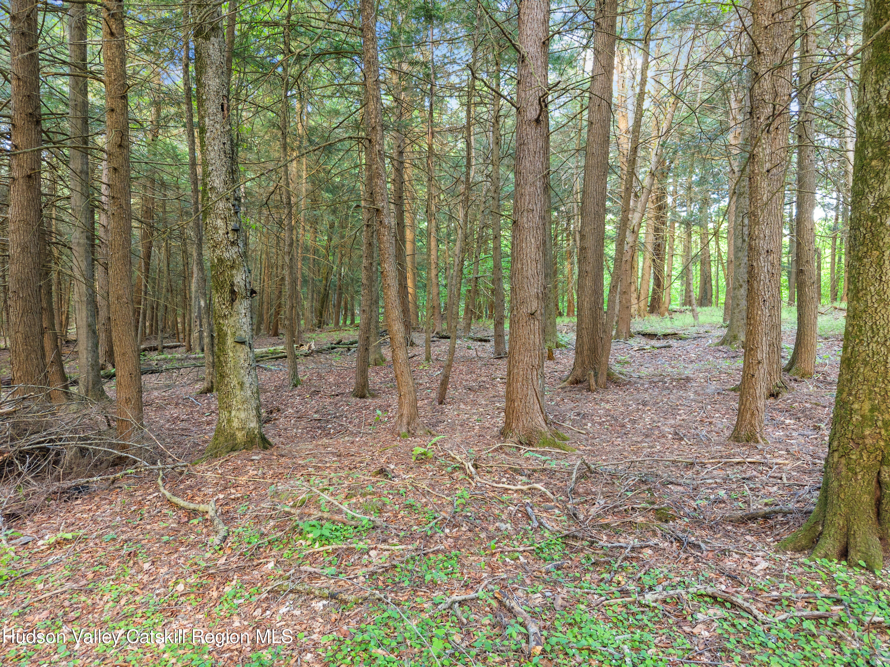 202 Blakesley Road, private