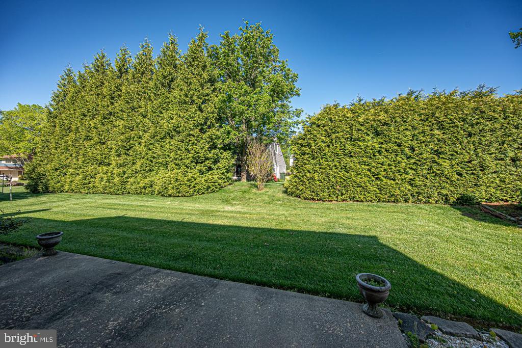 203 HAZEL RIDGE DRIVE