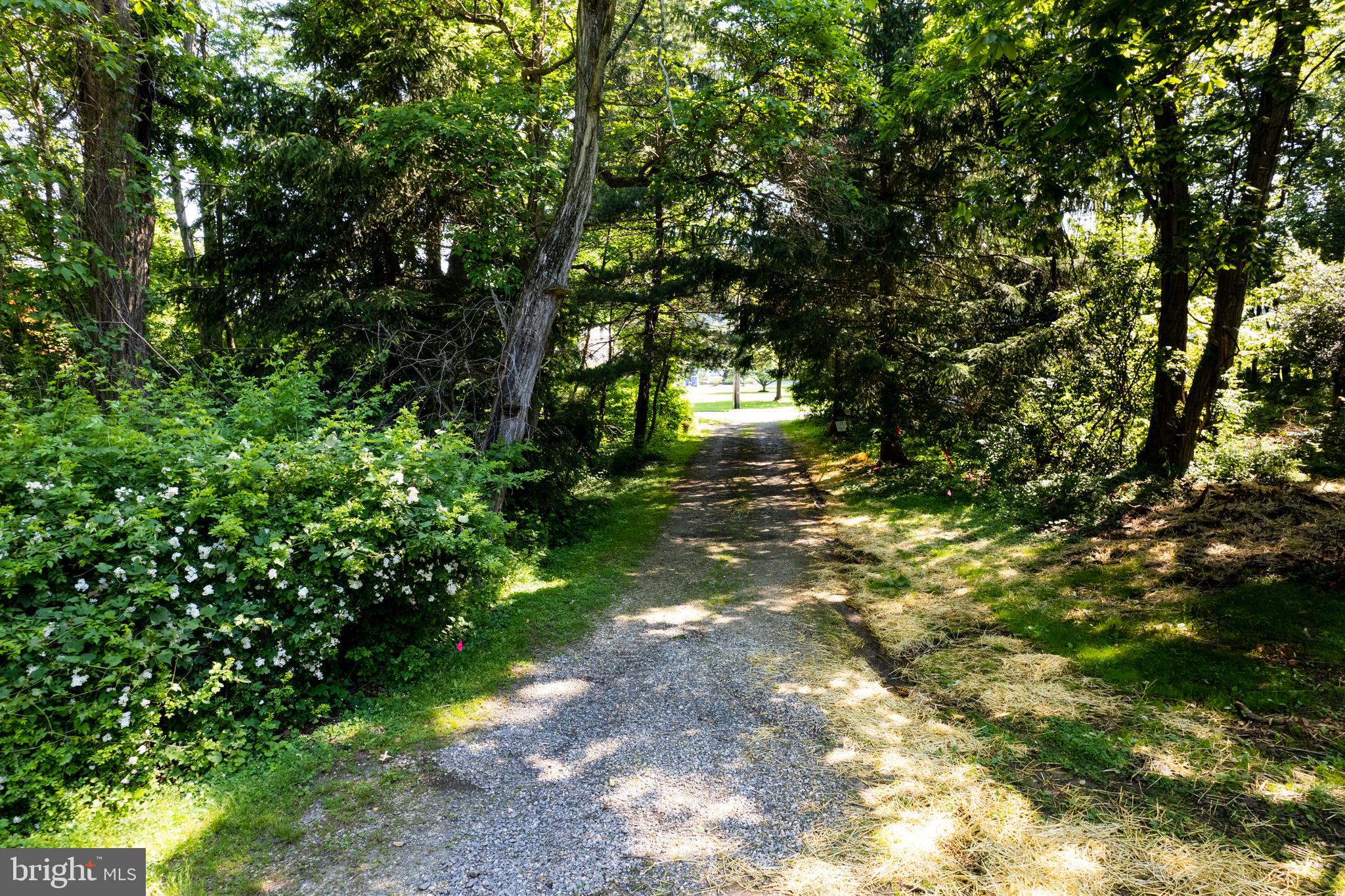 552 OLD FORGE ROAD Unit: LOT # 1