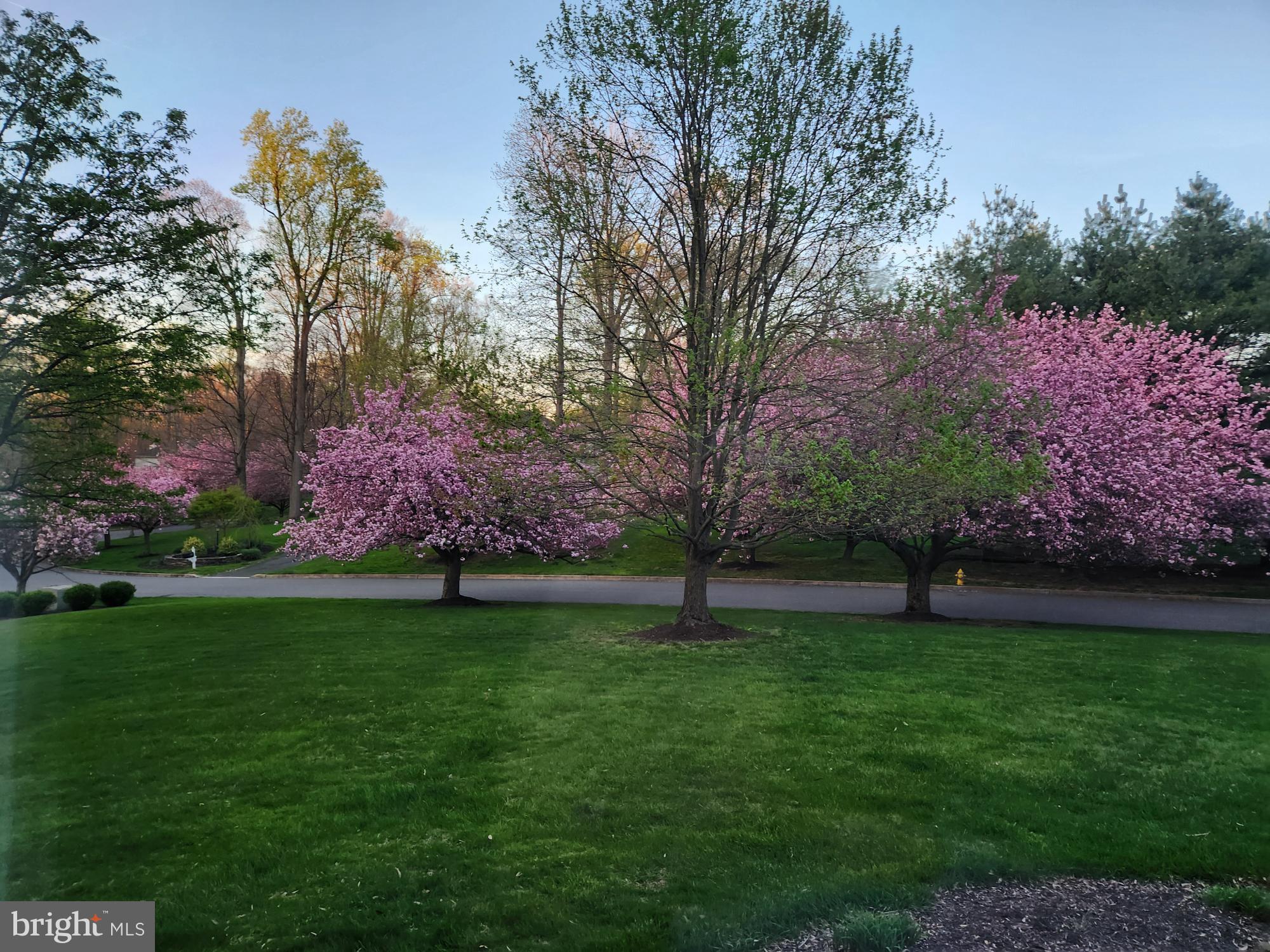 18 Cherry Cir