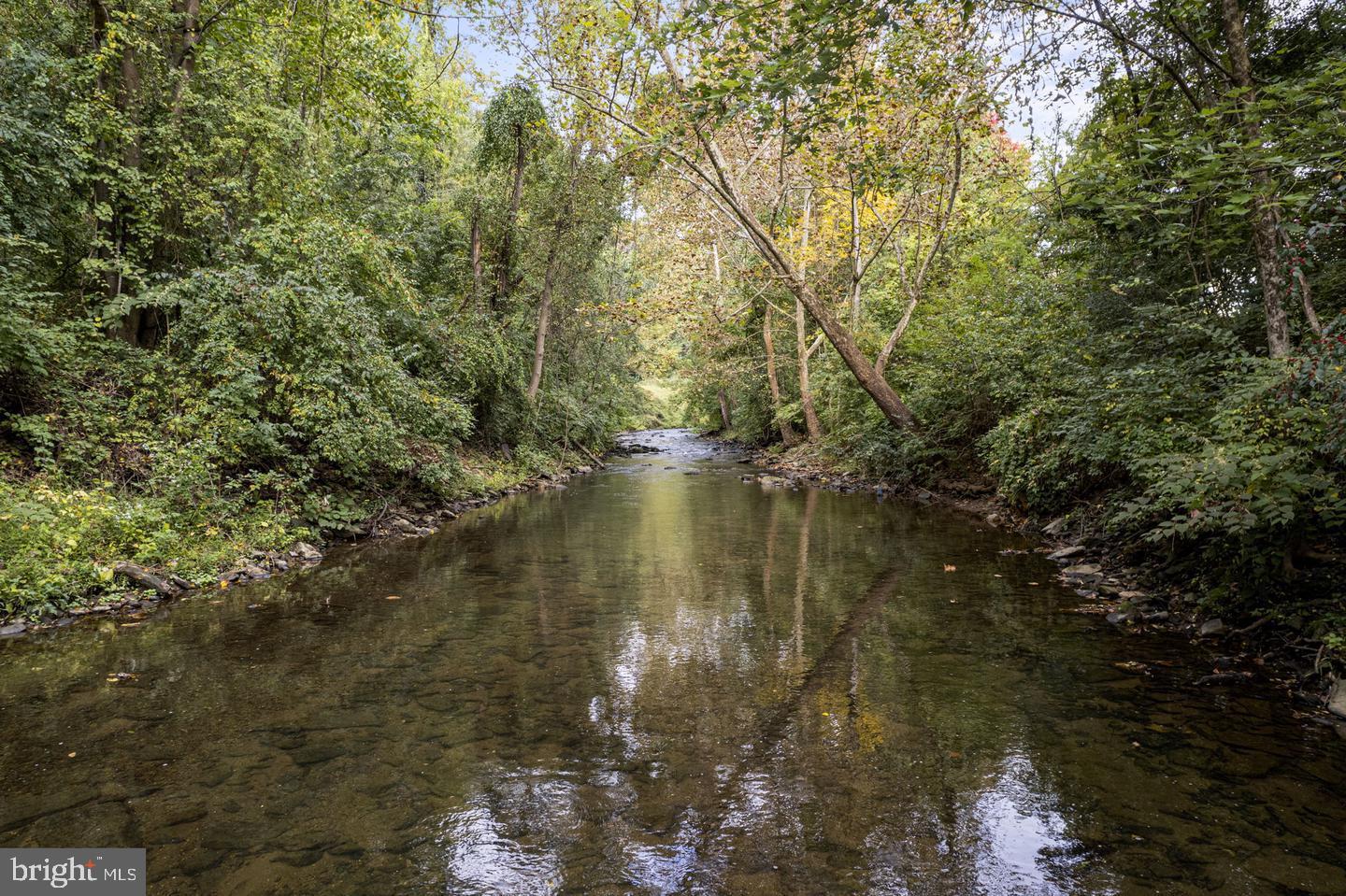 717 Kincaid Mills Ln