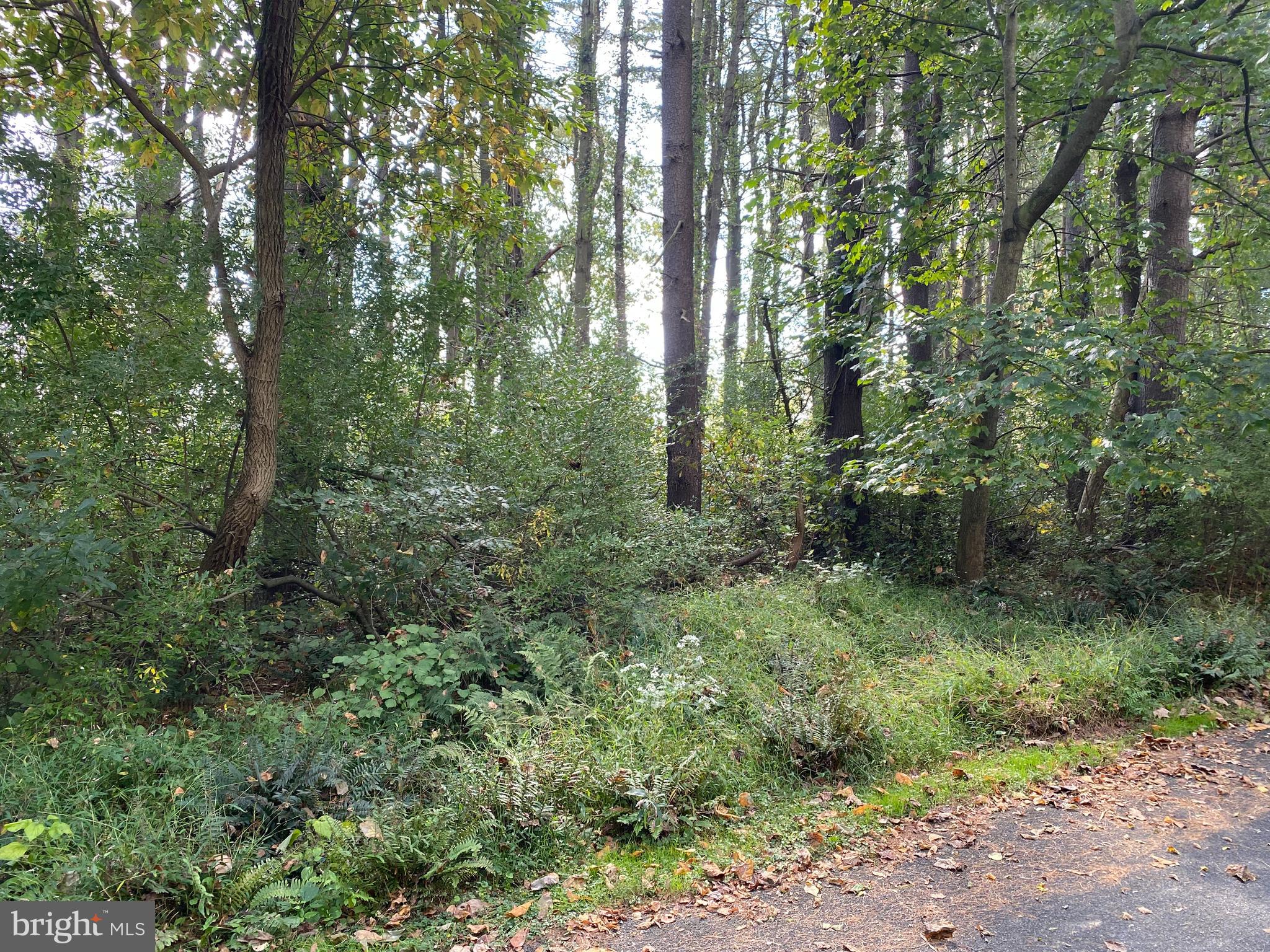 Lot 16 LONDONDERRY LANE