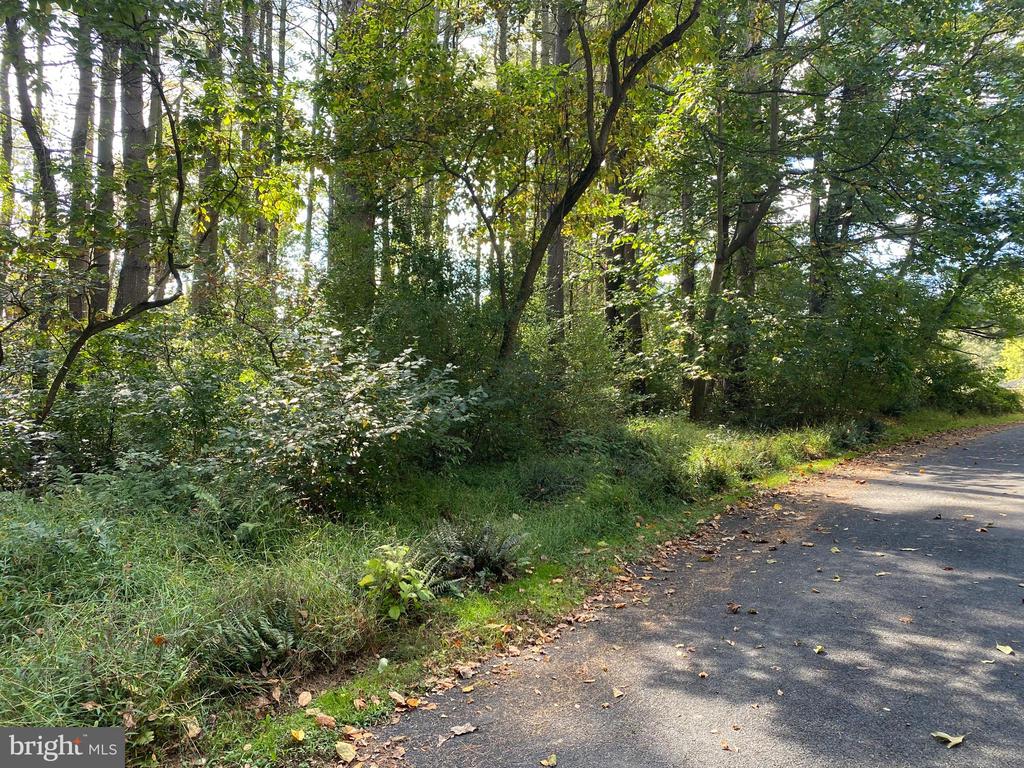 Lot 16 LONDONDERRY LANE