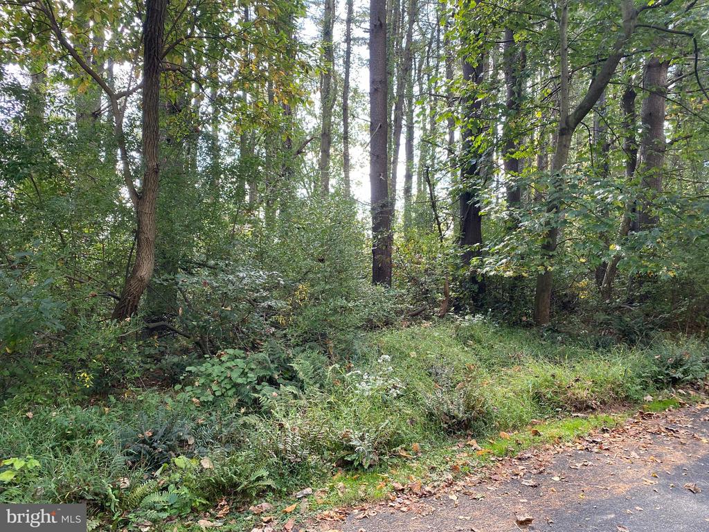 Lot 16 LONDONDERRY LANE