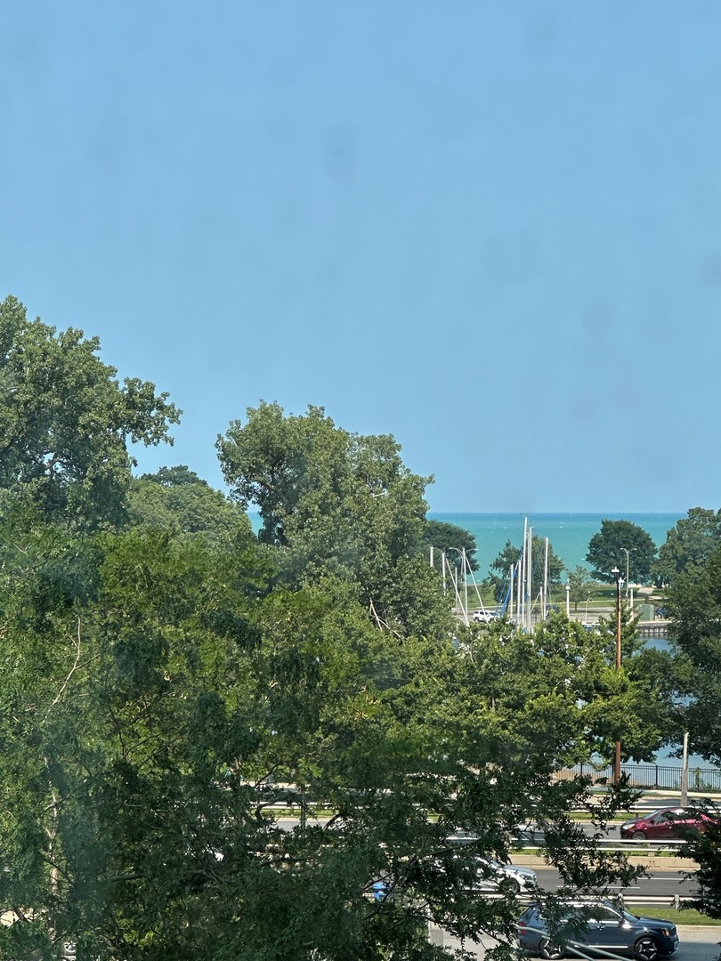 525 W Hawthorne Place Unit: 502