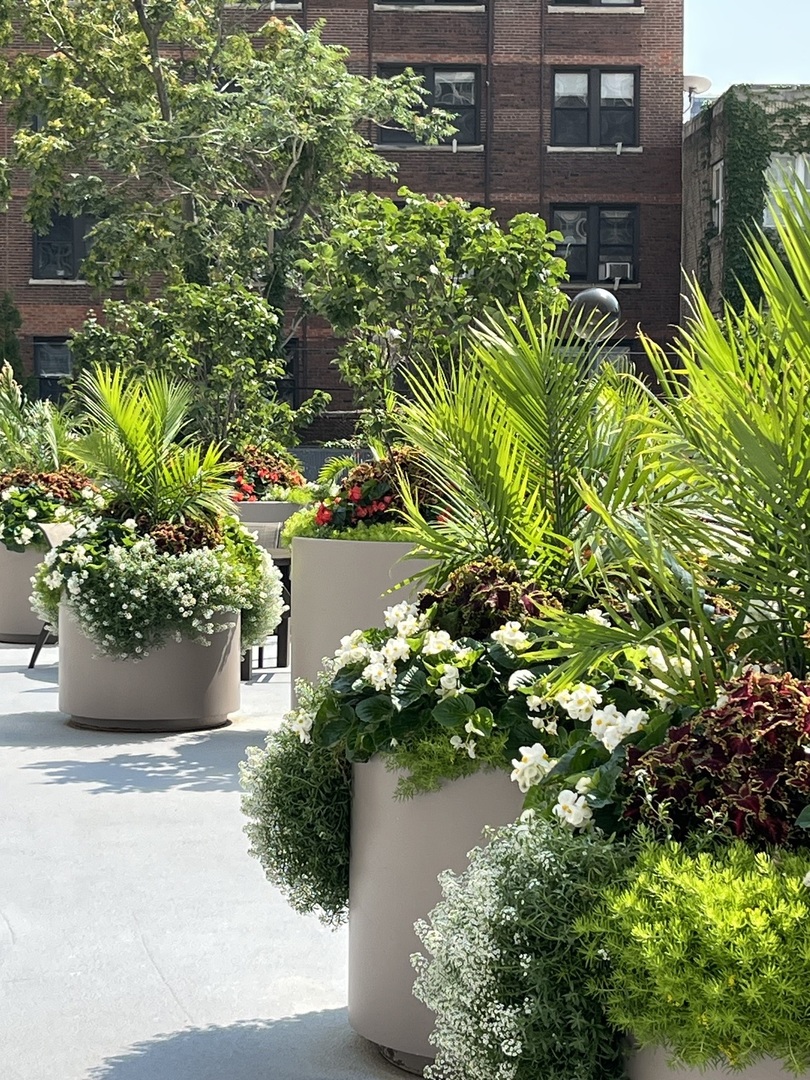 525 W Hawthorne Place Unit: 502