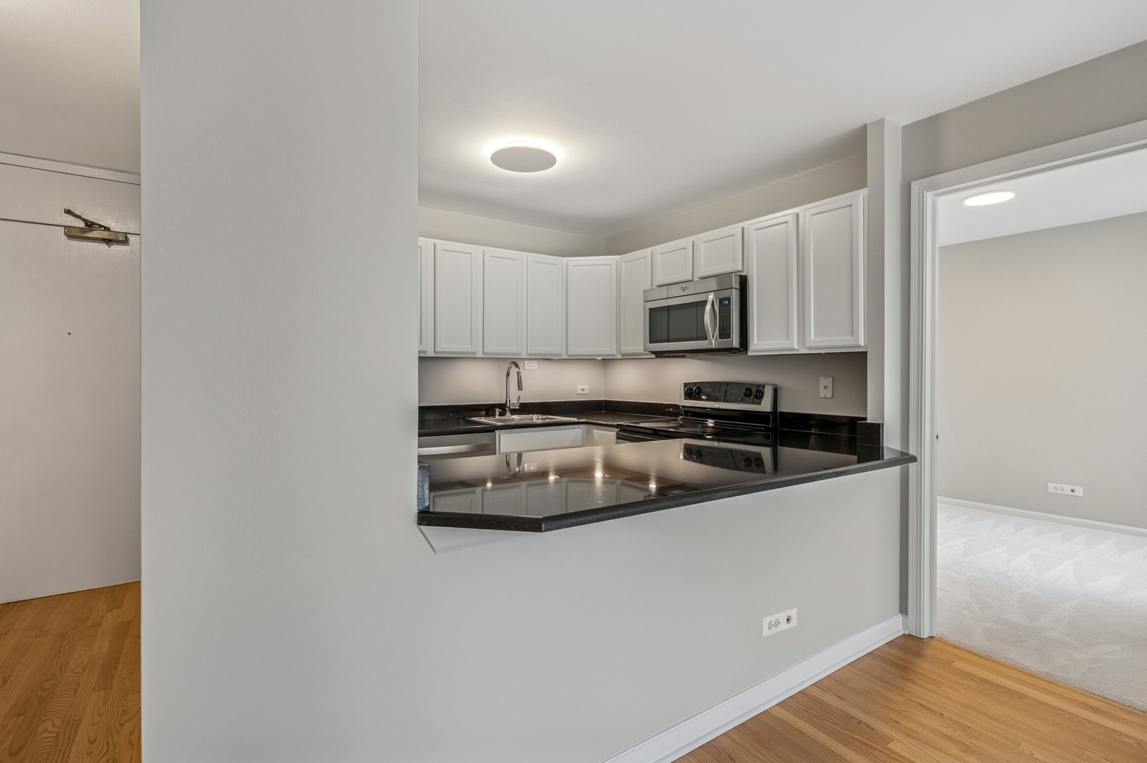 525 W Hawthorne Place Unit: 502