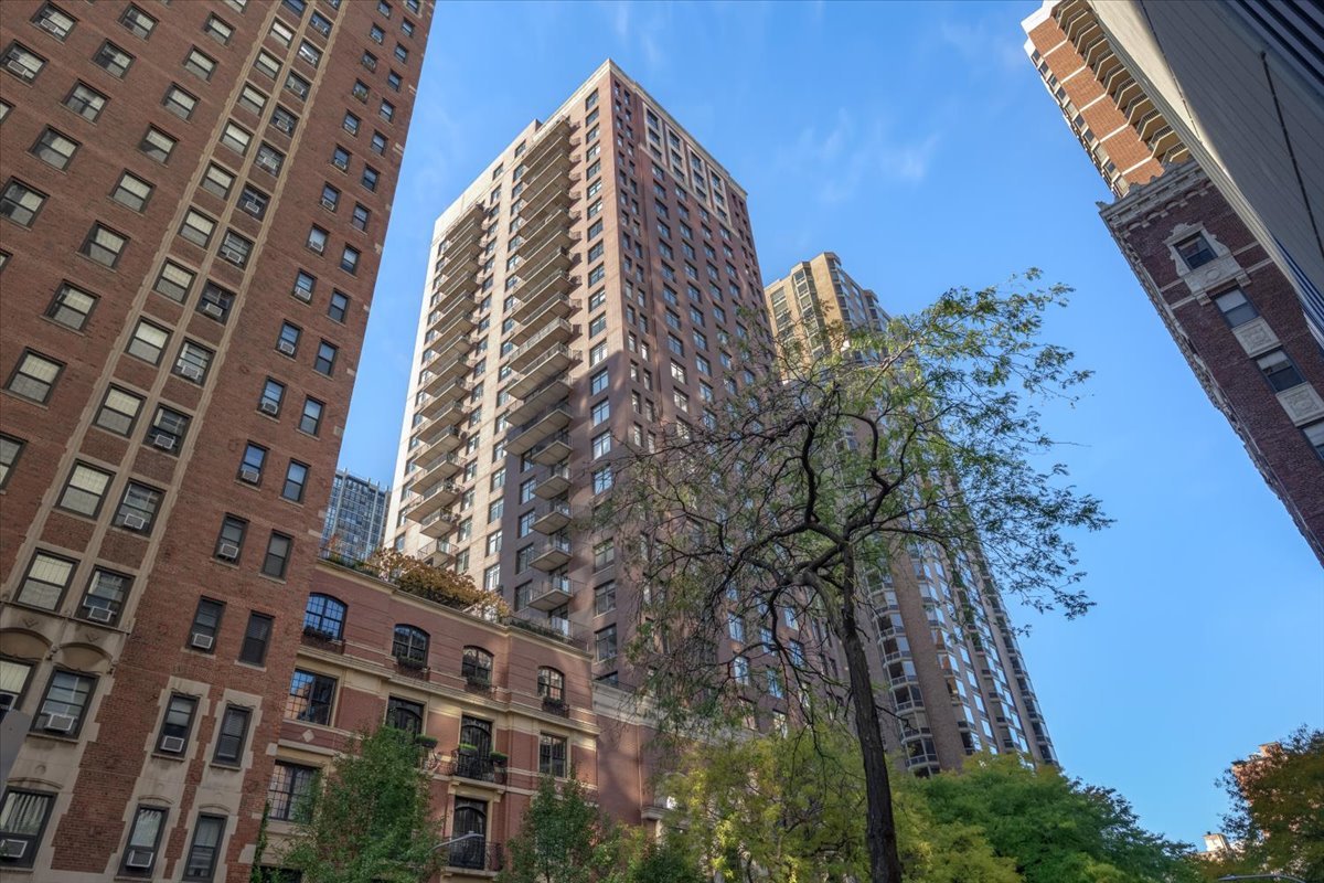 1122 N Dearborn Street Unit: 22J