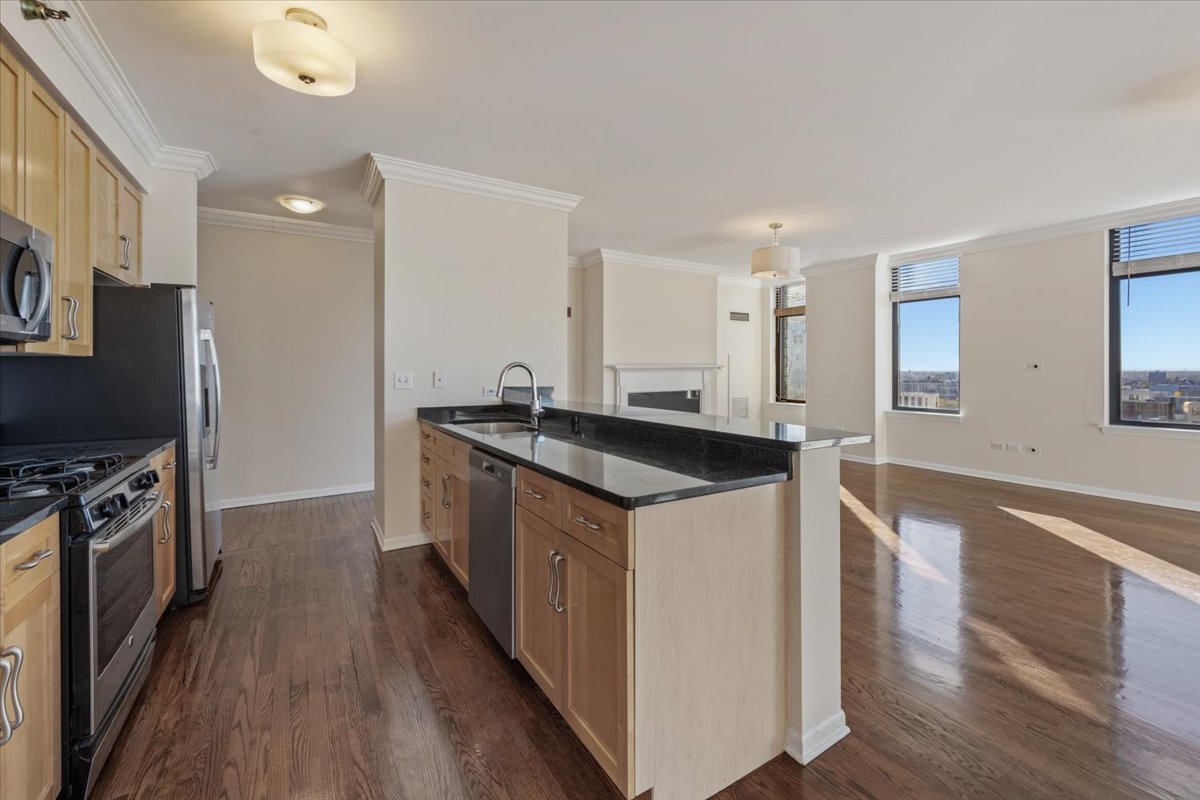 1122 N Dearborn Street Unit: 22J