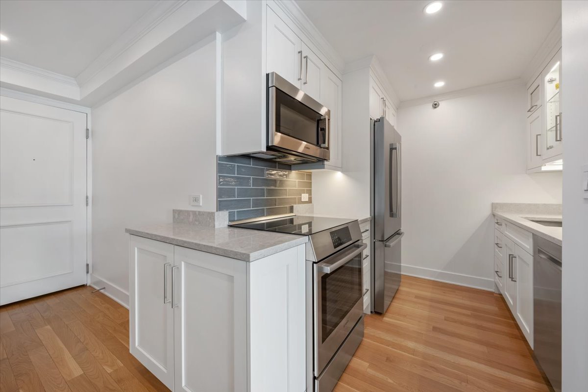 1250 N Dearborn Parkway Unit: 24E