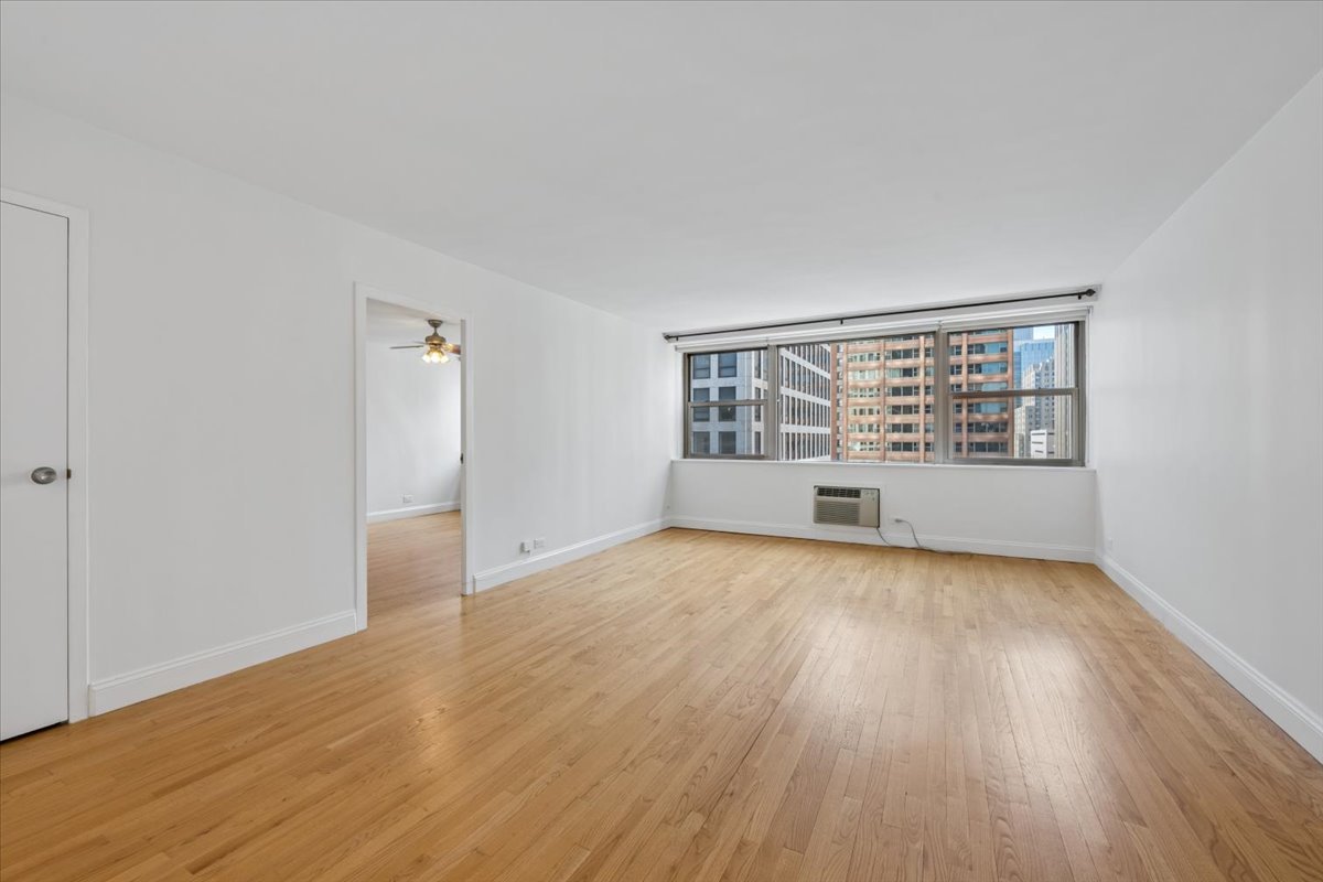 253 E DELAWARE Place Unit: 11F