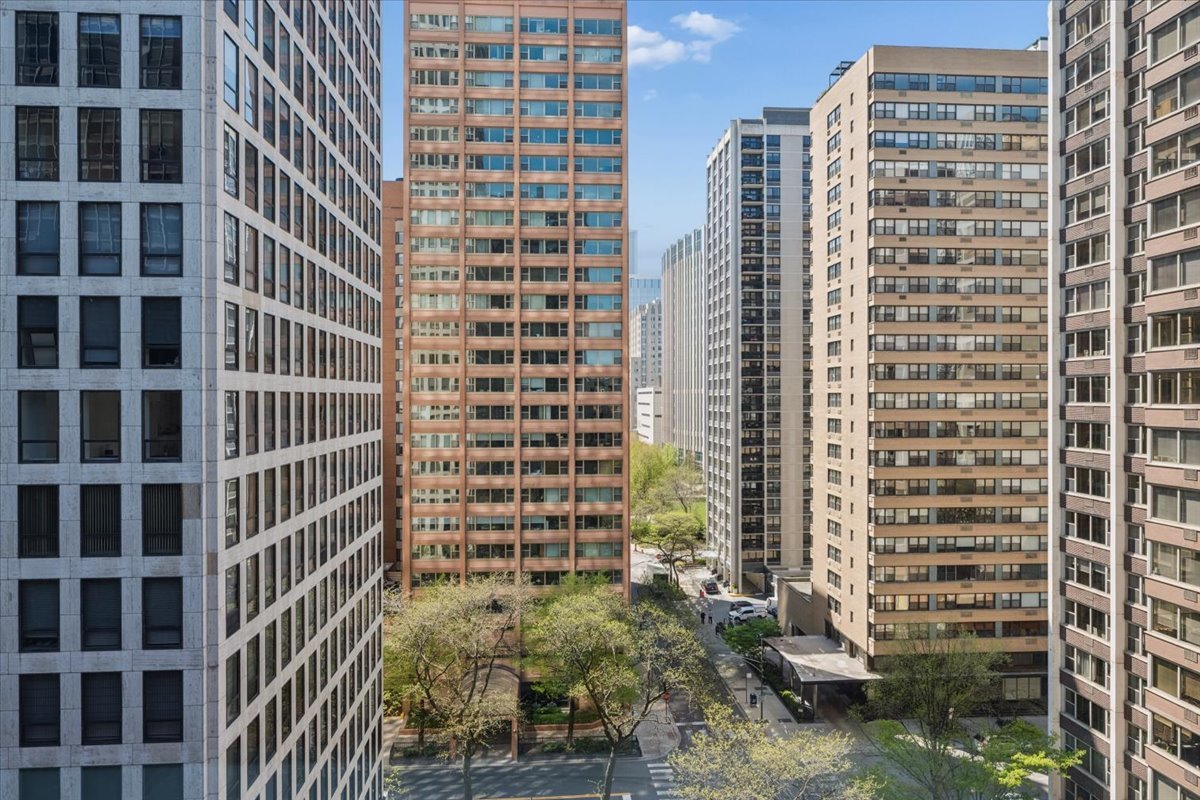 253 E DELAWARE Place Unit: 11F