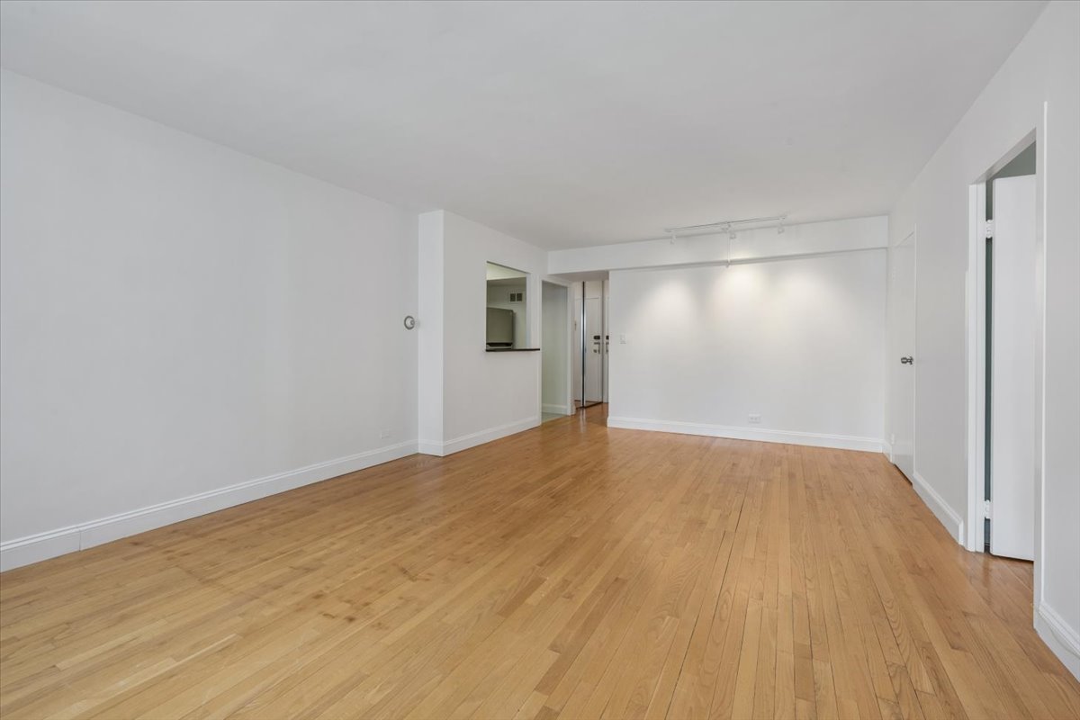 253 E DELAWARE Place Unit: 11F