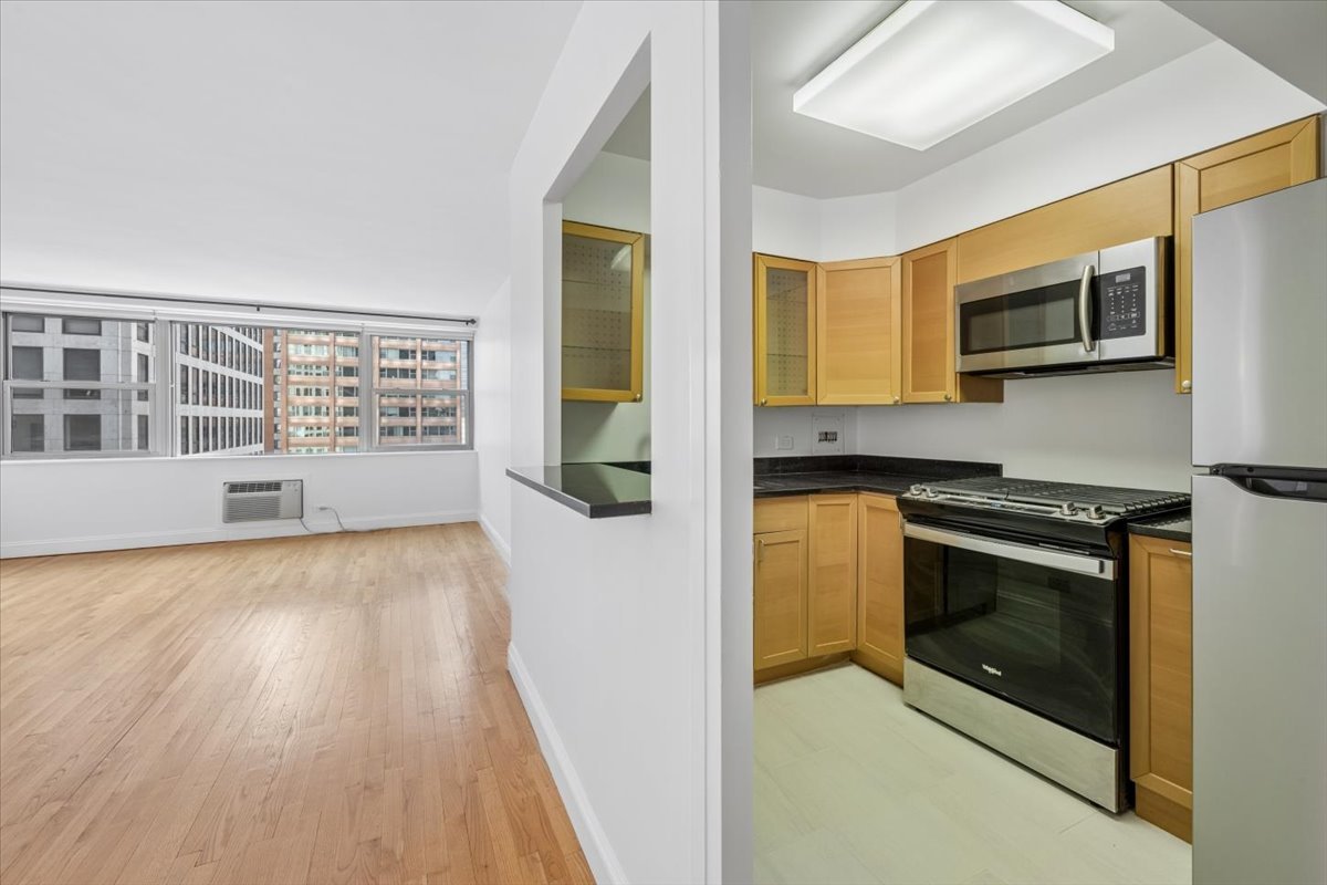 253 E DELAWARE Place Unit: 11F