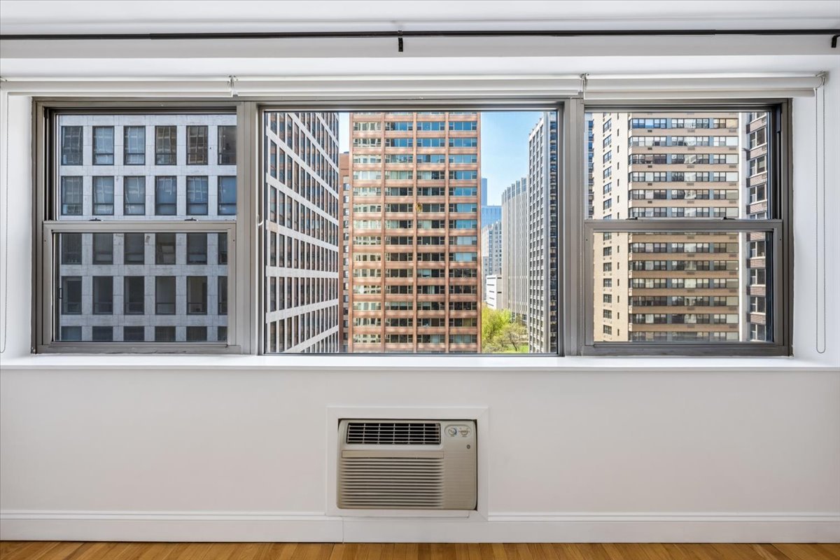 253 E DELAWARE Place Unit: 11F
