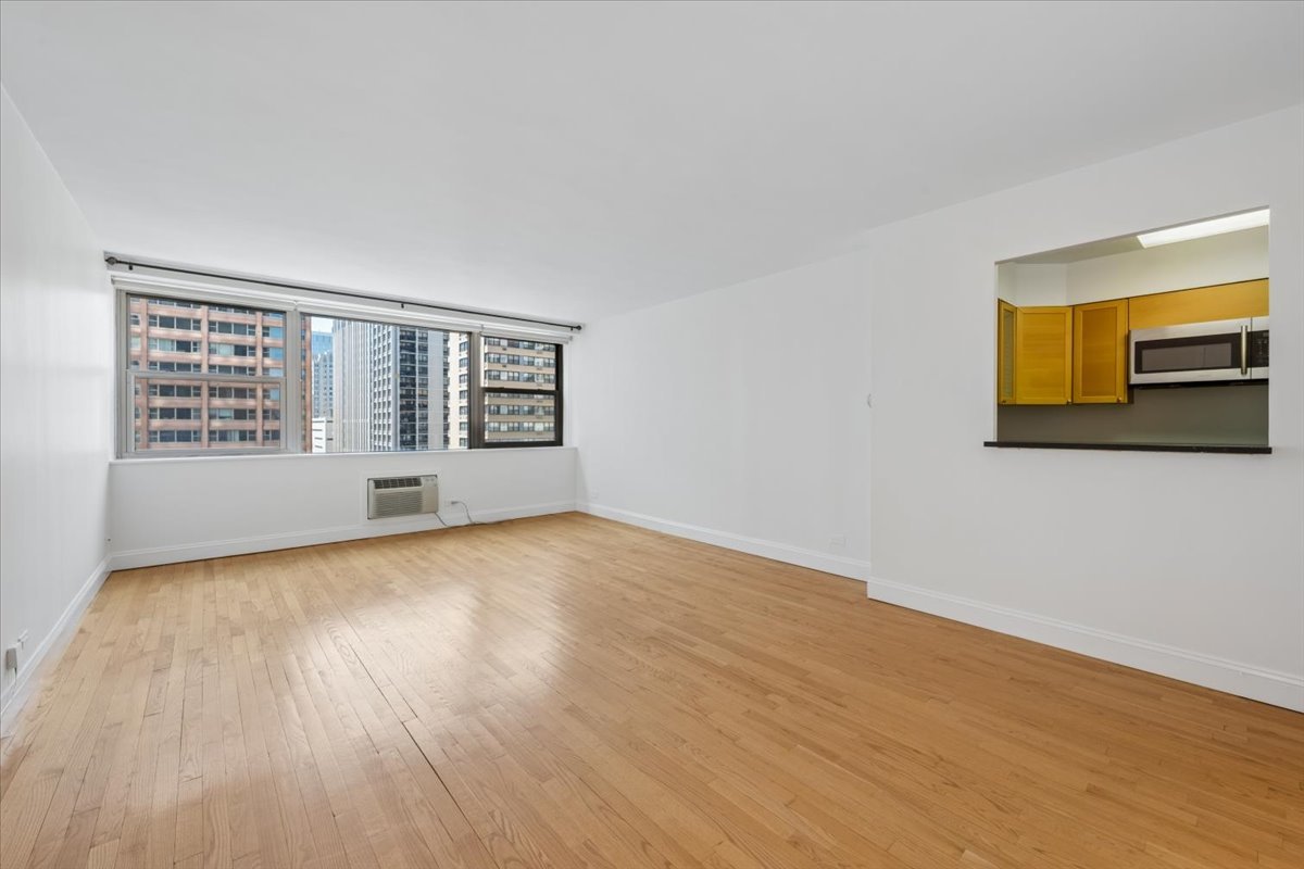 253 E DELAWARE Place Unit: 11F