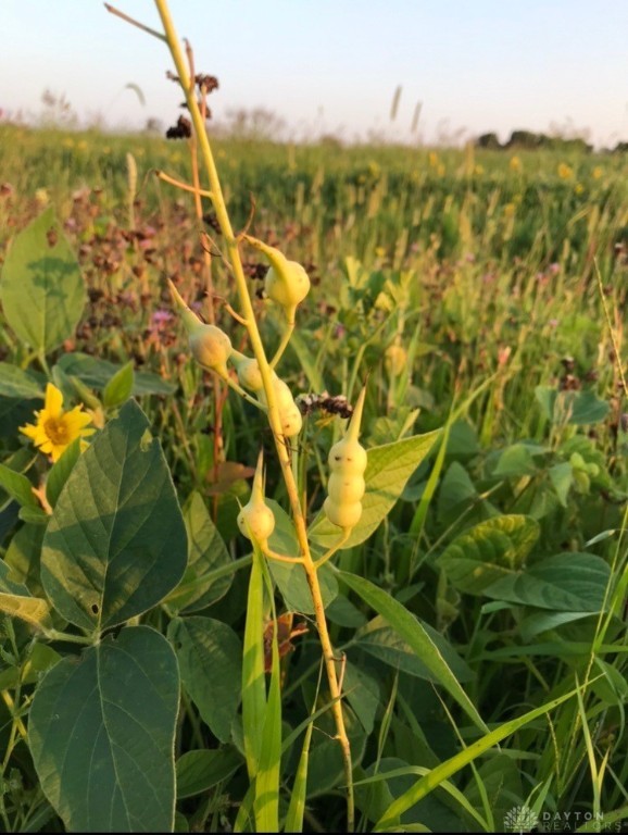 298 Maple Point Court