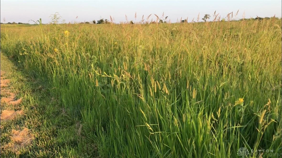 298 Maple Point Court