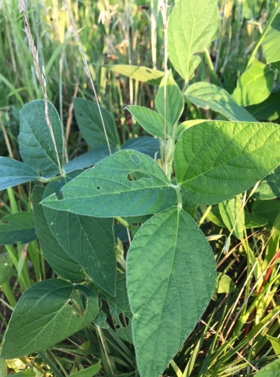 298 Maple Point Court