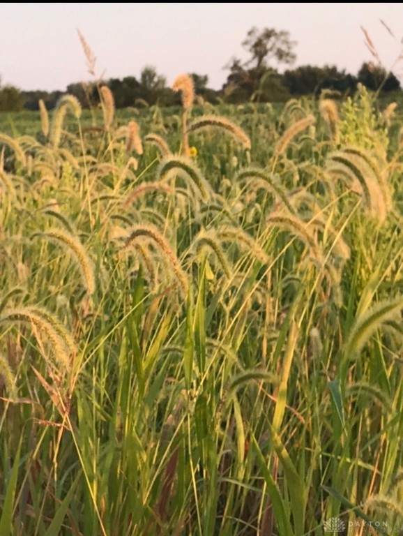 298 Maple Point Court