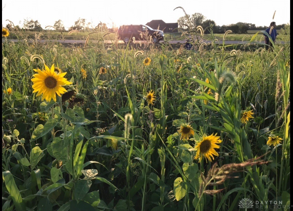 298 Maple Point Court