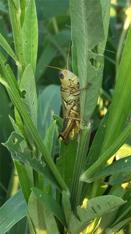 298 Maple Point Court