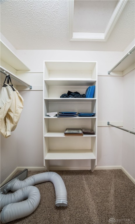 10680 Meadowfields Court