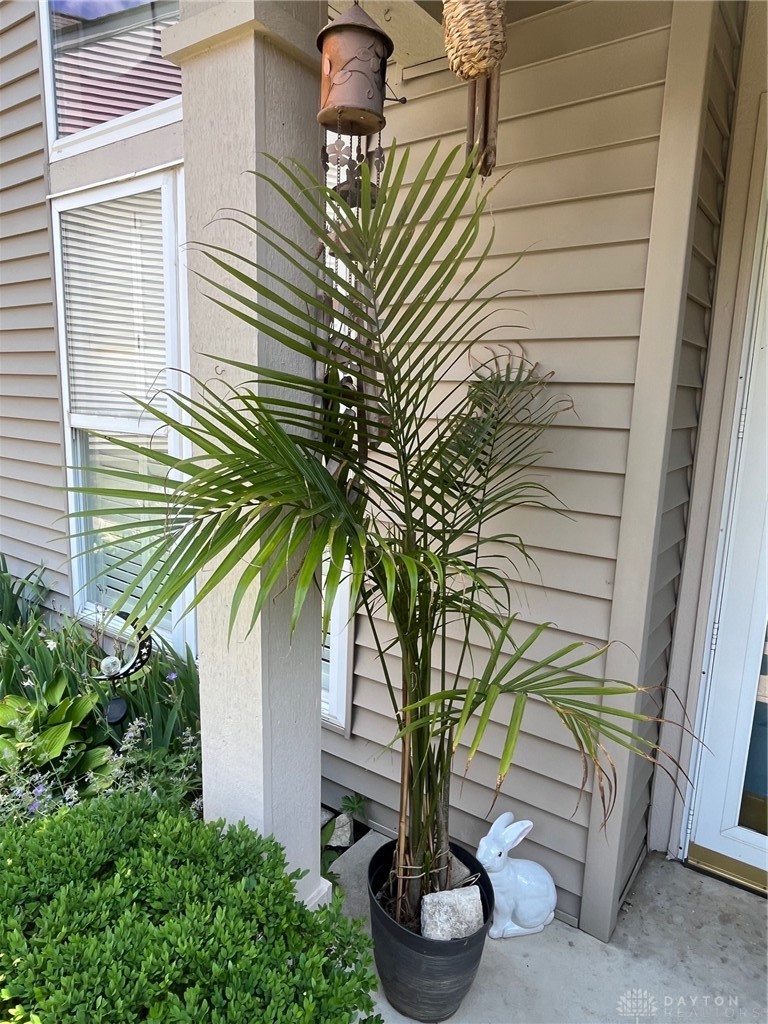 2370 Donamere Circle