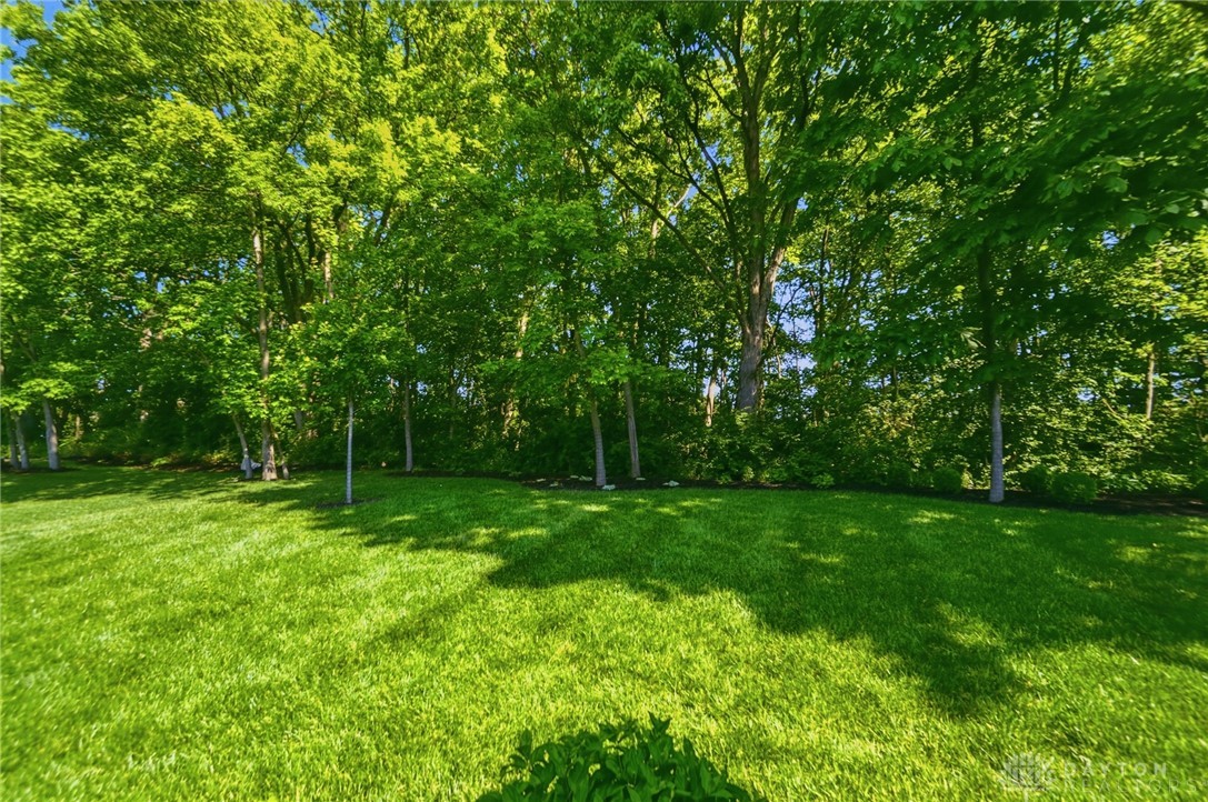 915 Hidden Branches Drive