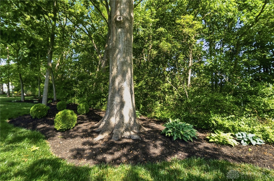 915 Hidden Branches Drive