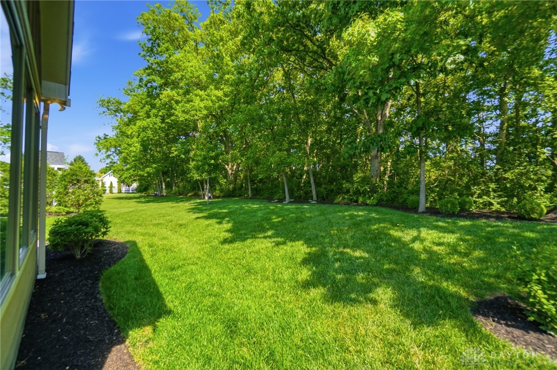 915 Hidden Branches Drive