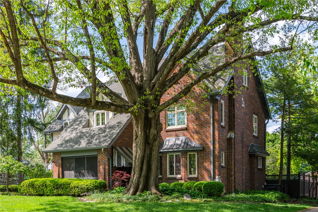 239 Spirea Drive