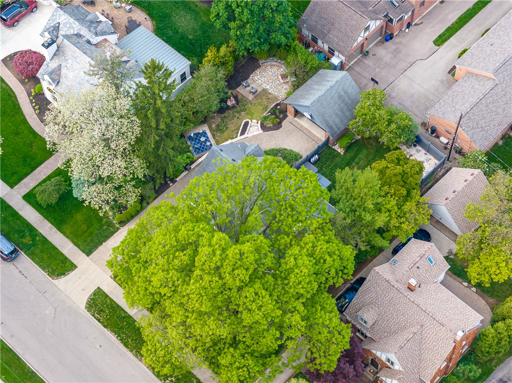 239 Spirea Drive