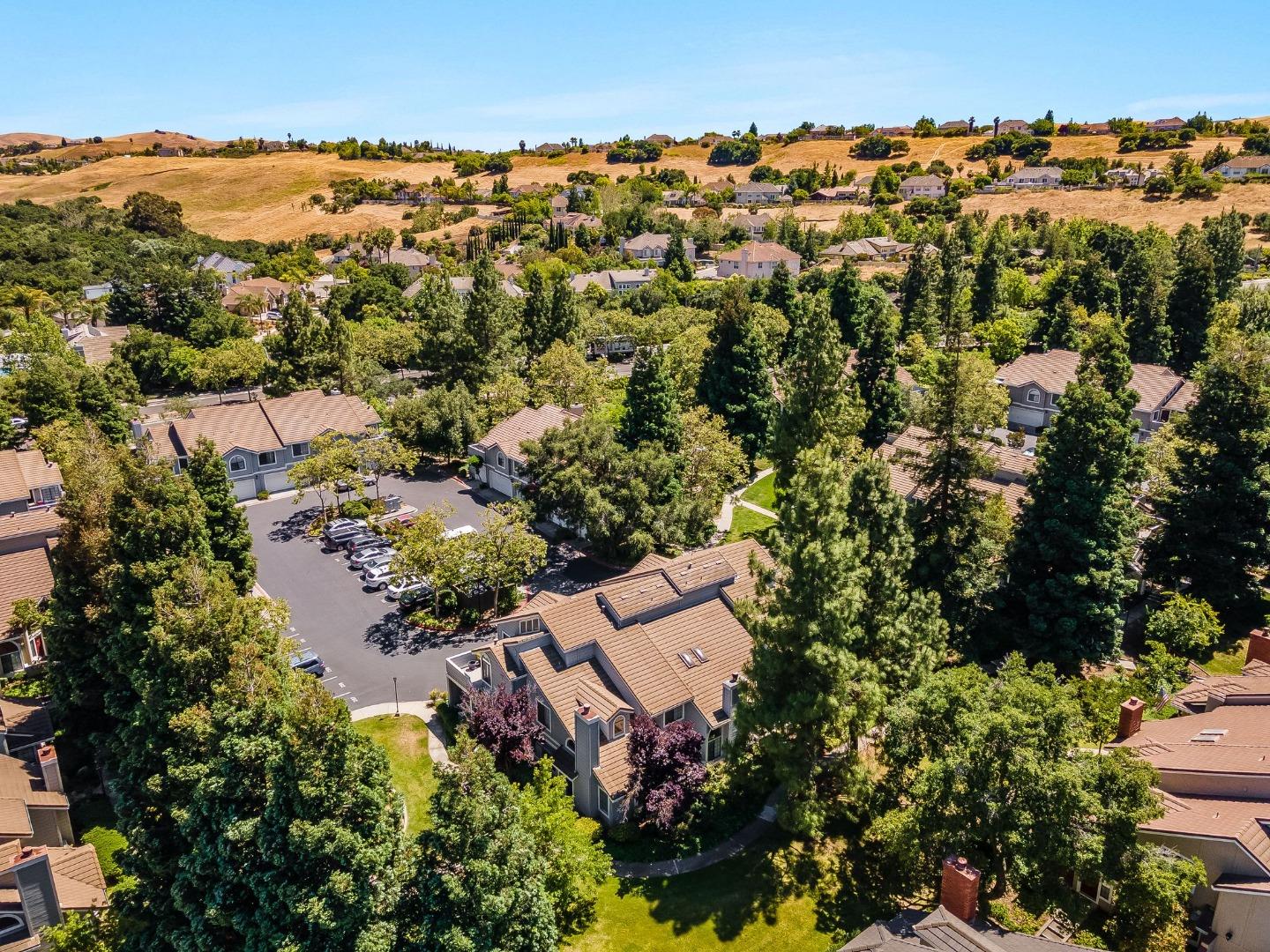 2890 Buena Crest Court