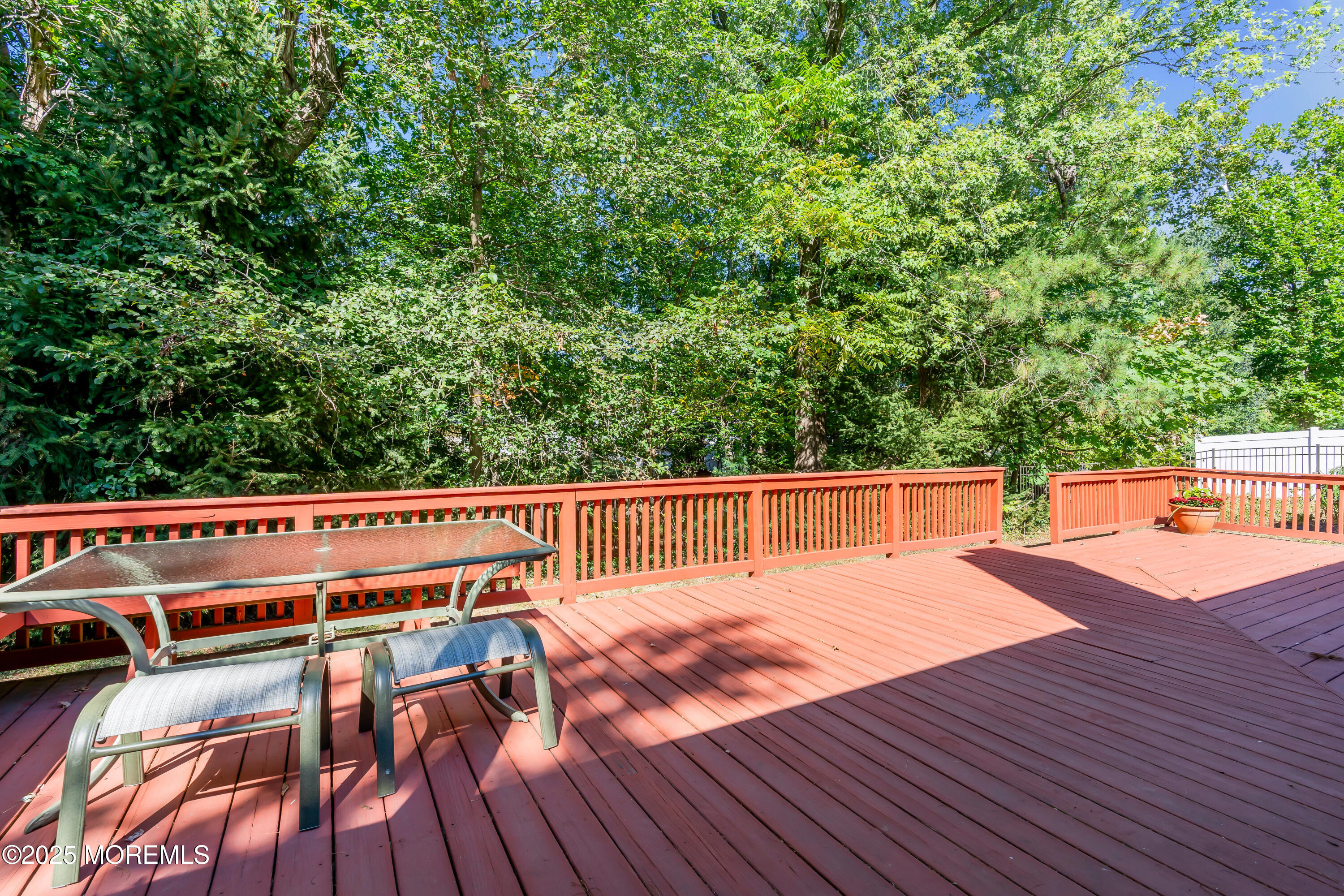 41 Livingston Lane