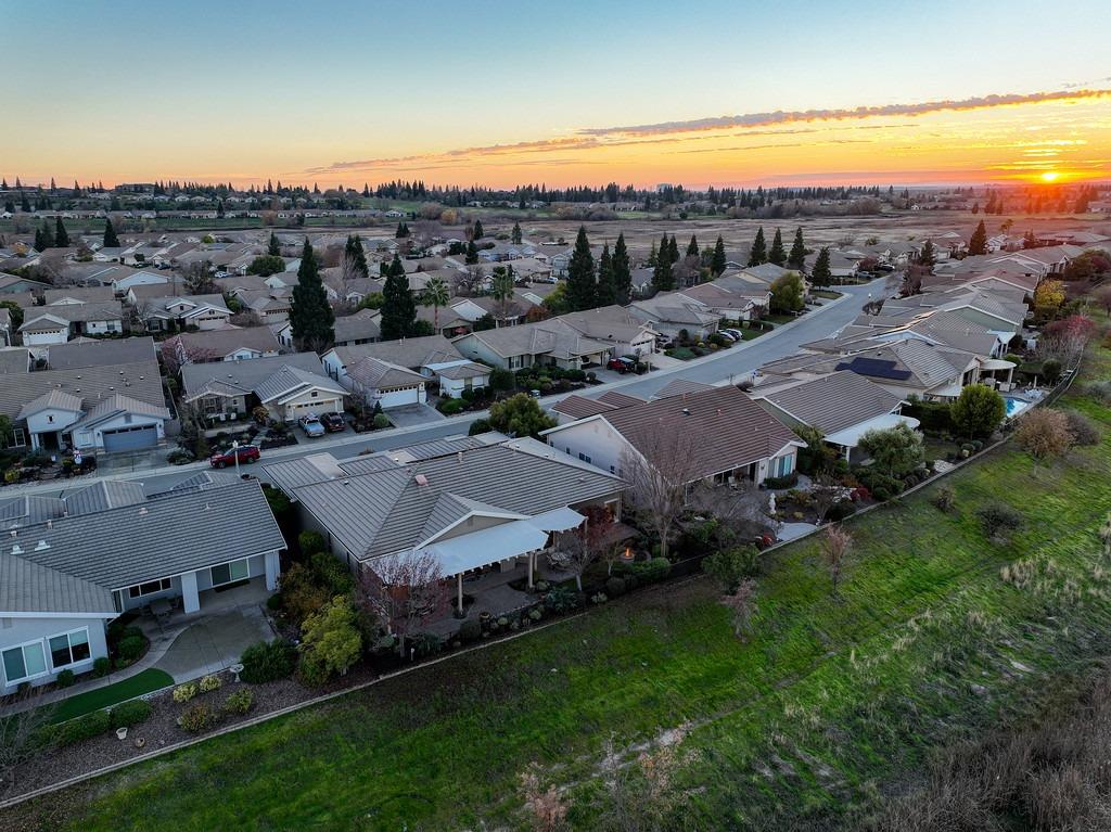1216 Segolily Lane