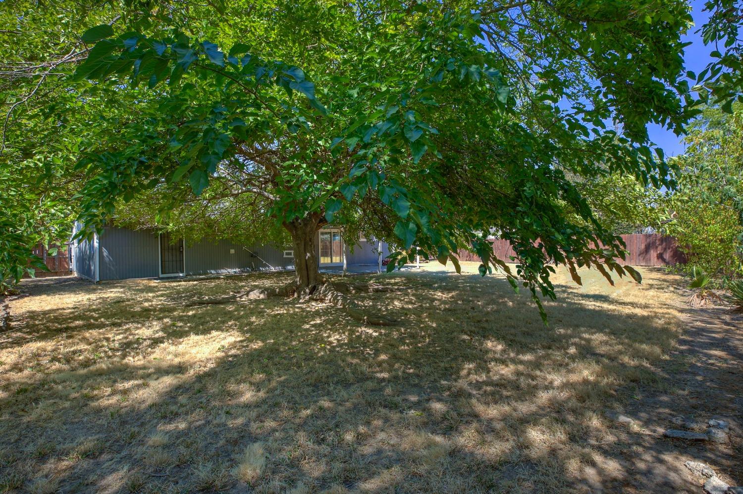4420 18th Avenue
