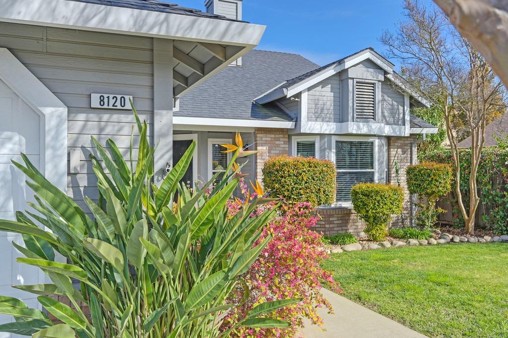 8120 Bellsbrae Drive