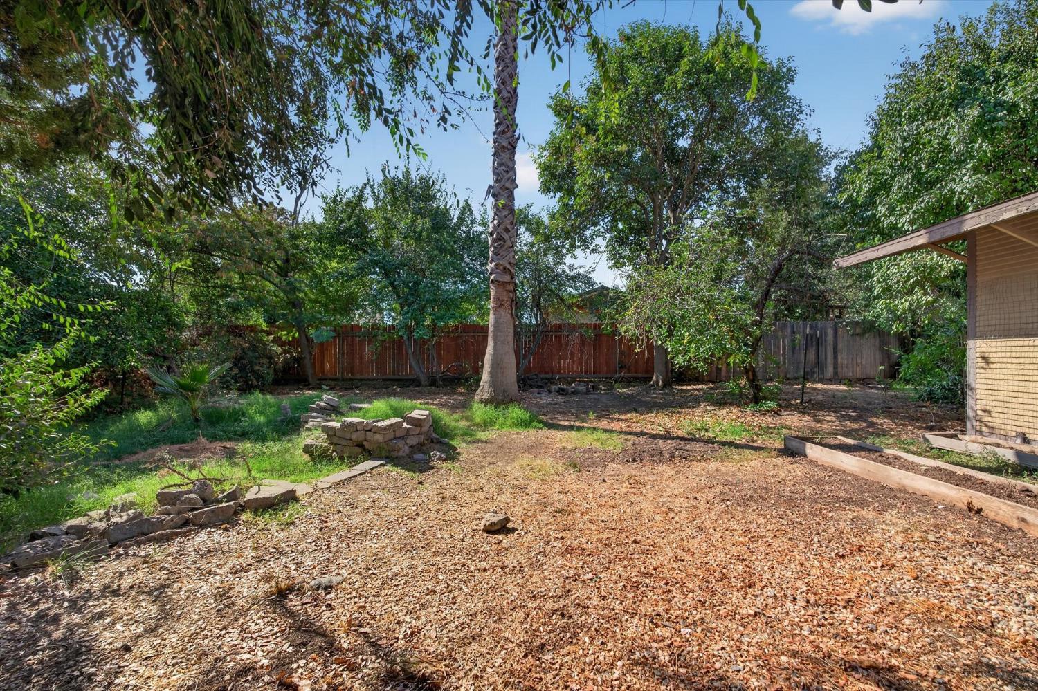 Backyard with mature trees, wooden fencing, leaf-covered ground, and a small outbuilding.