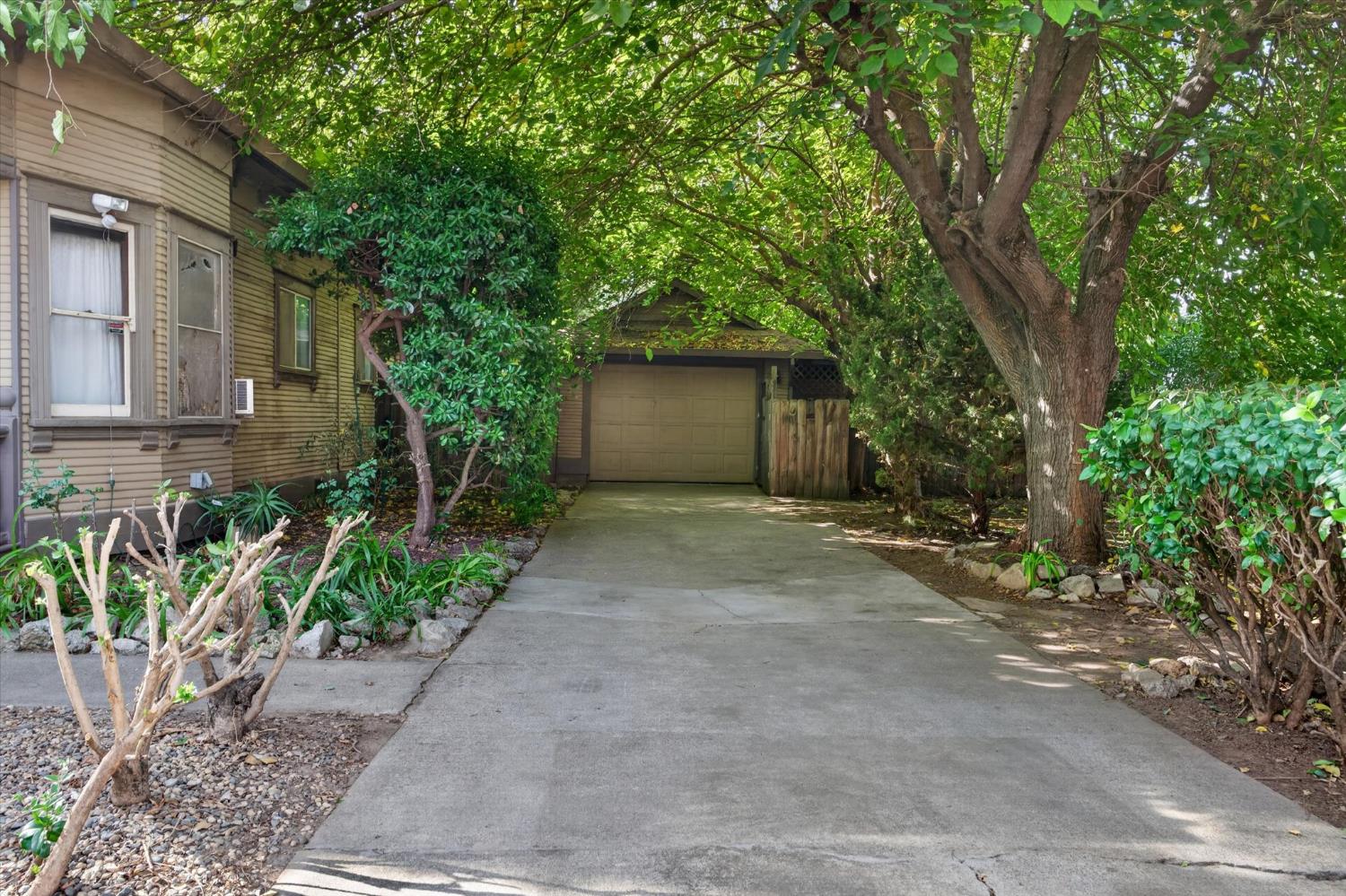 Concrete driveway leading to a garage, shaded by mature trees and dense shrubs.