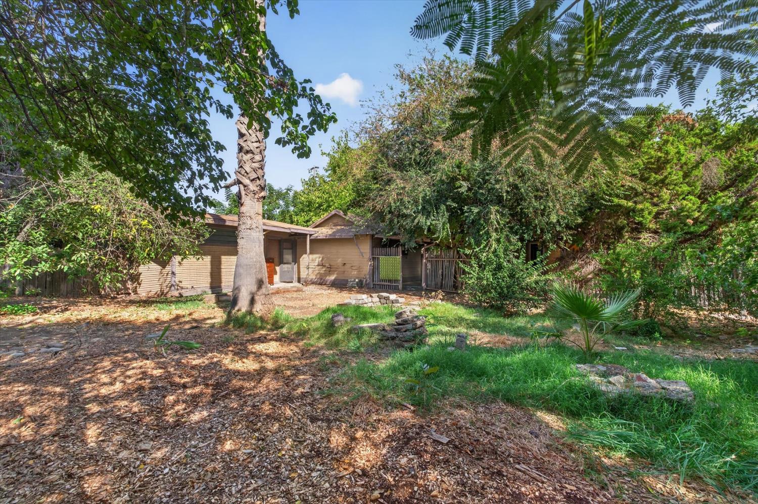 Single-story tan home framed by mature trees, with a shaded, leaf-strewn yard.