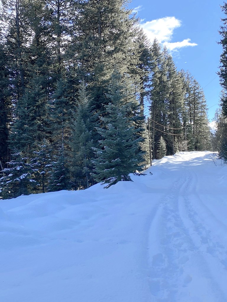 19 Royal Lane # 4