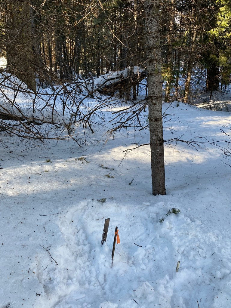 19 Royal Lane # 4
