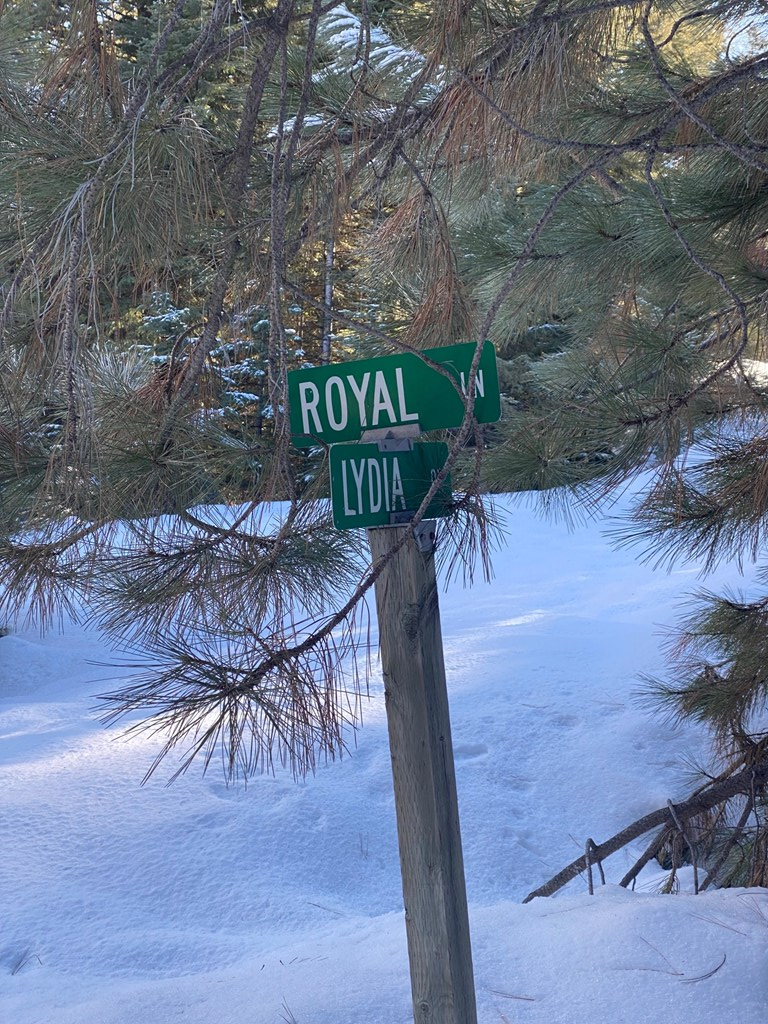 19 Royal Lane # 4