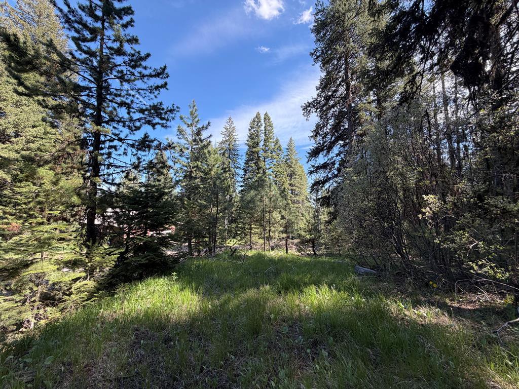 2153 Lydia Drive # 24